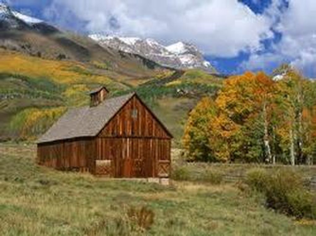 Jesse A. Pearcy Profile Photo