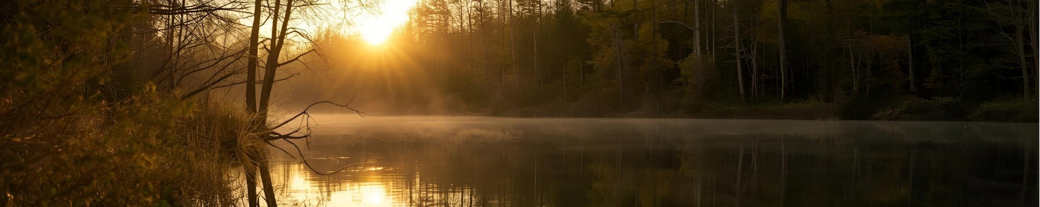 Cover for Randy Keith Forbus's Obituary