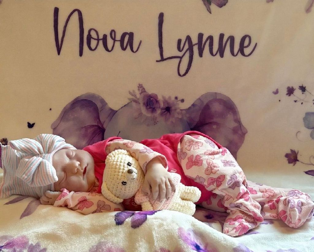 Nova Lynne Hirschey