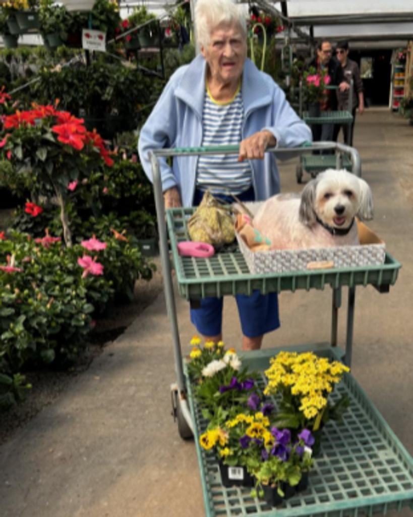 Phyllis M Capparelli