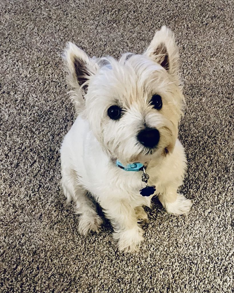 Bella Swafford Profile Photo