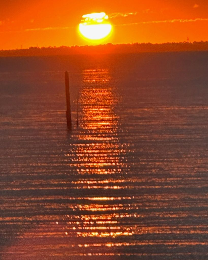 Bobbie Faye Barner Profile Photo