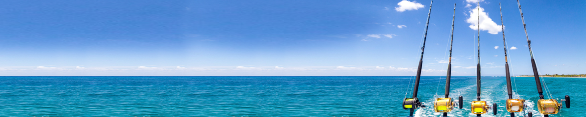 Cover for Thomas Newton Hobbs's Obituary