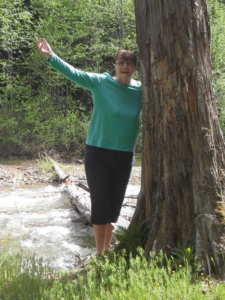 Judie Ann Mccutcheon