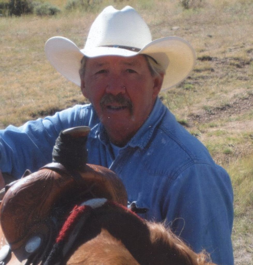 Robert D Mickelsen