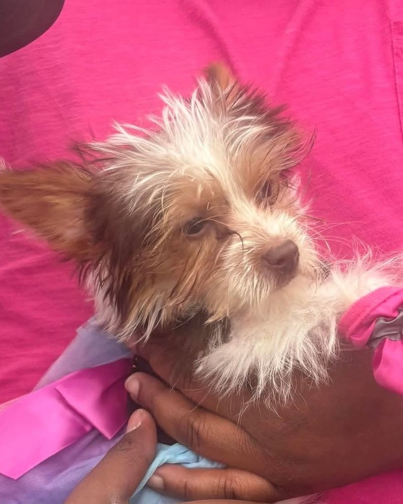 Lola Mae Thomas Profile Photo