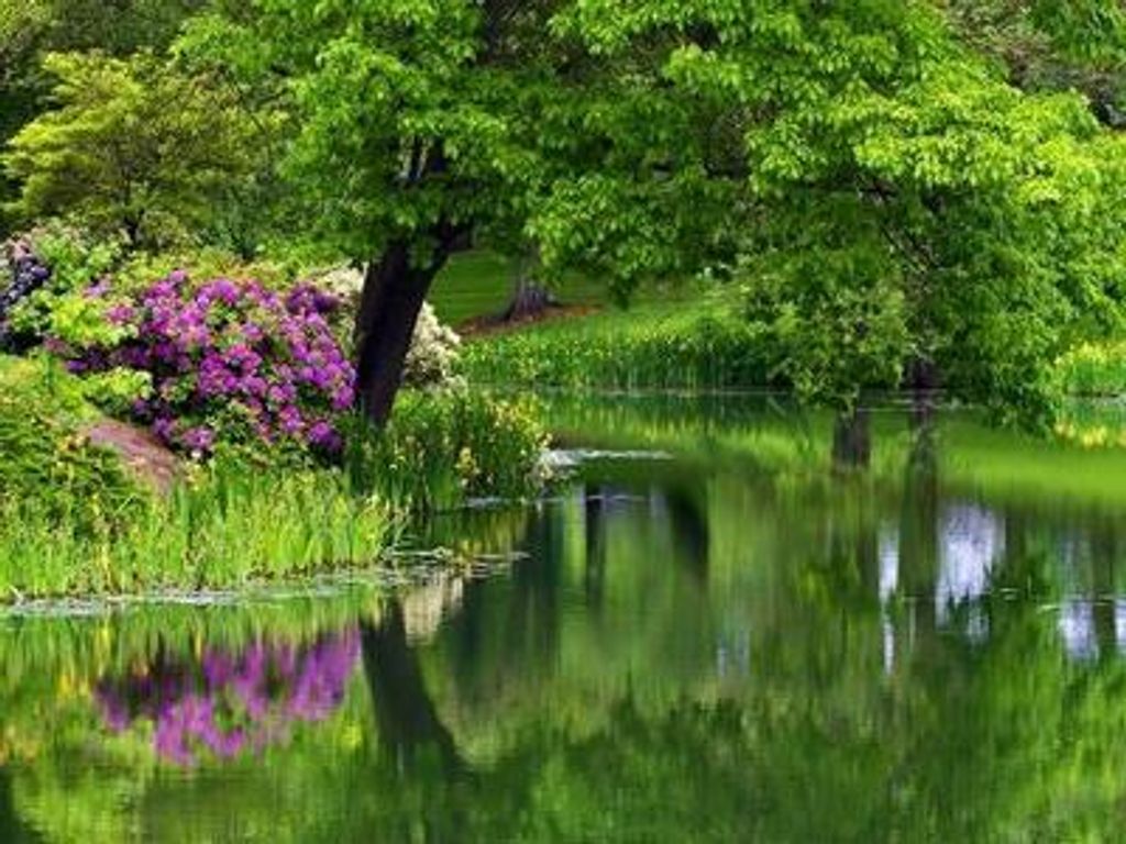 Richard T Walls Profile Photo