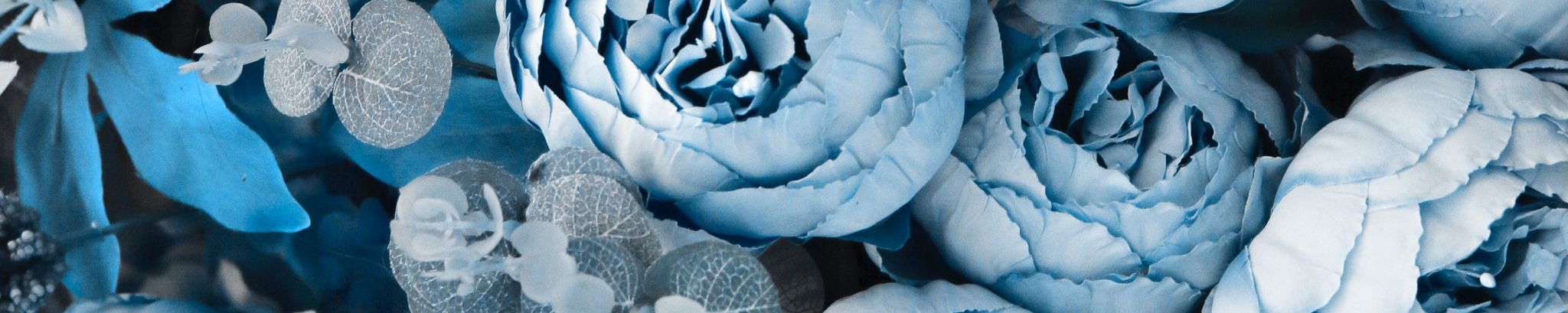 Cover photo for Kathy Turner's Obituary