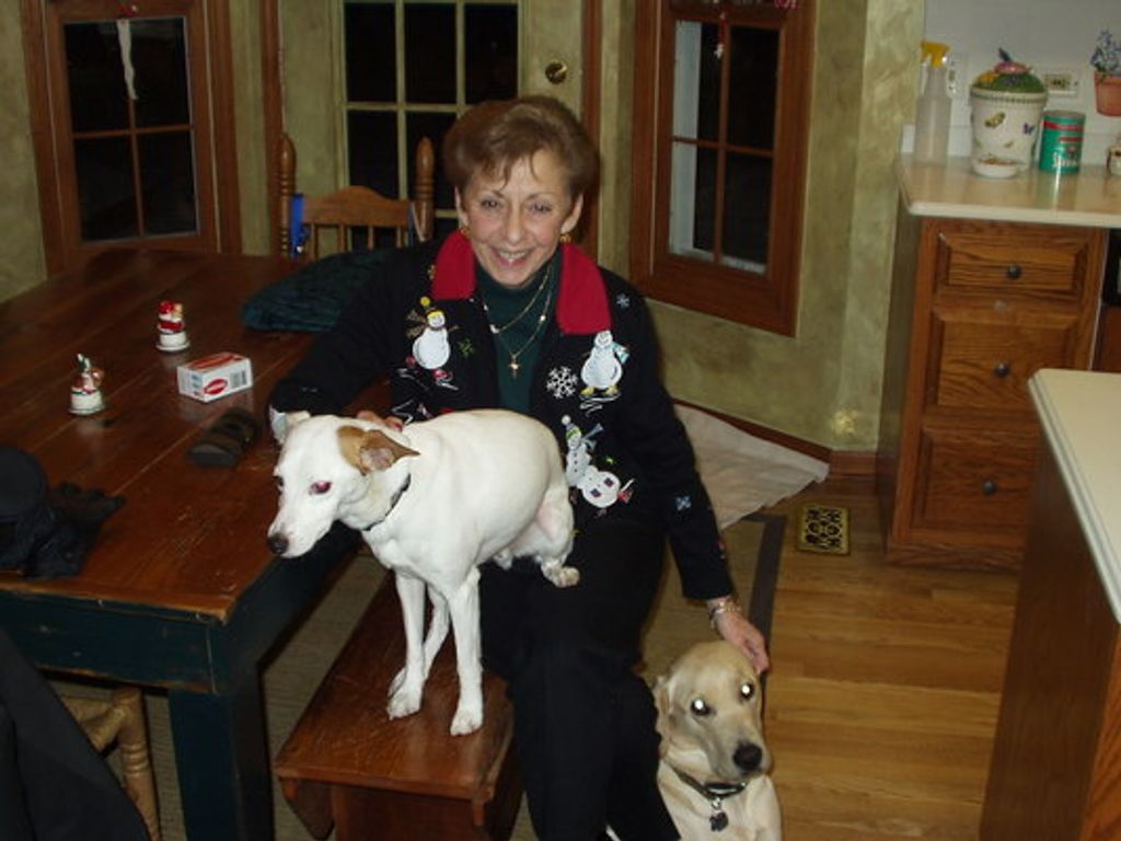 Nancy Anne Stout Profile Photo