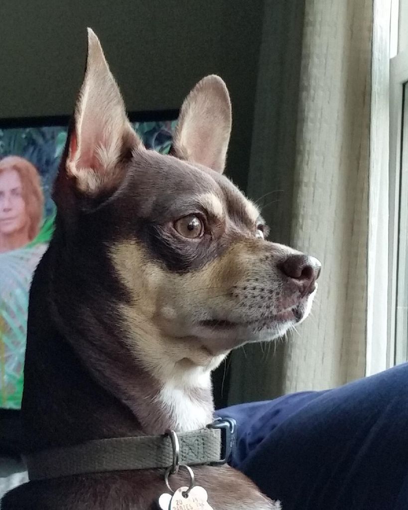 Gunner Laubert Profile Photo