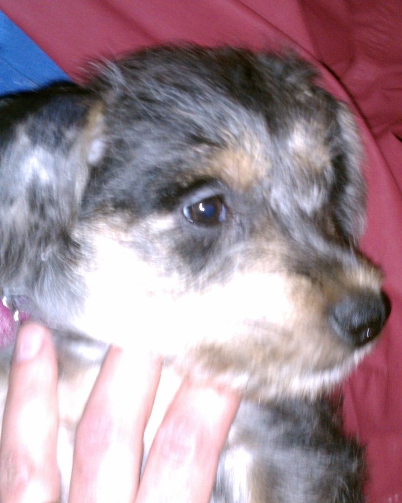 Belle Fulk Profile Photo