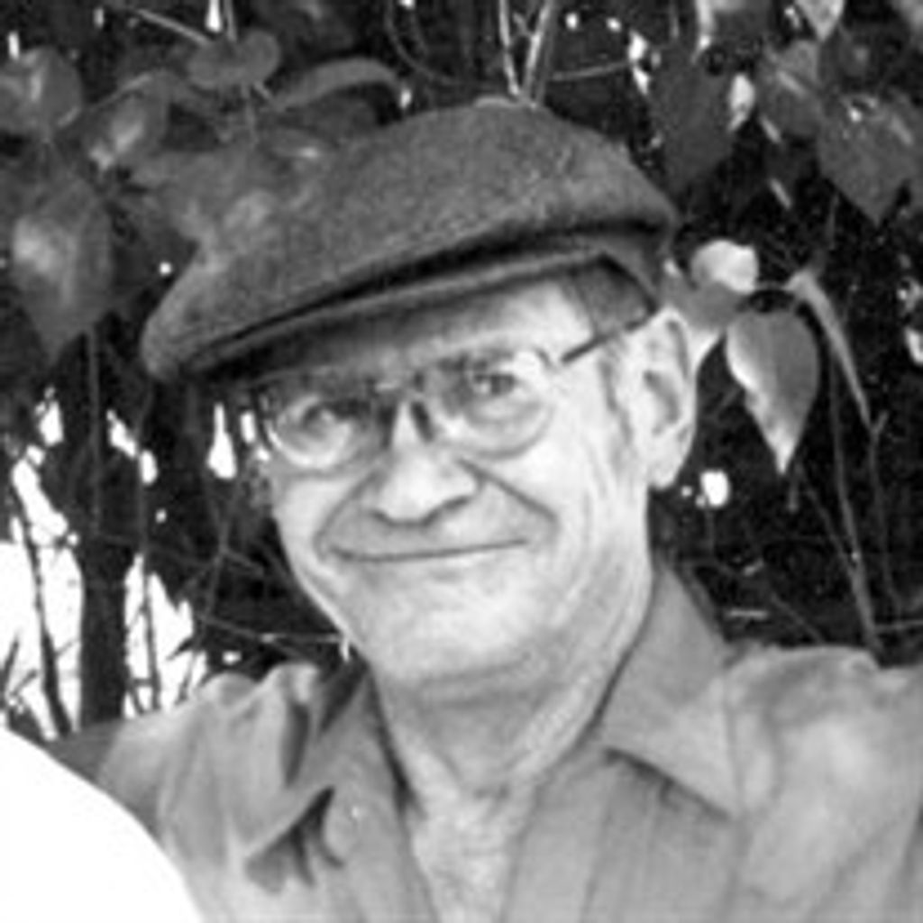 Mr. Albert Novak