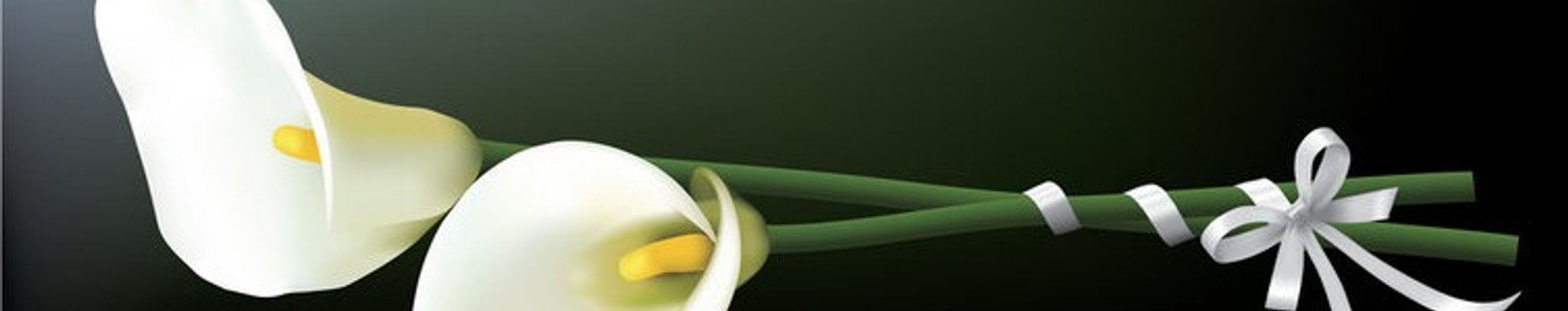 Cover photo for Emma Blandino's Obituary