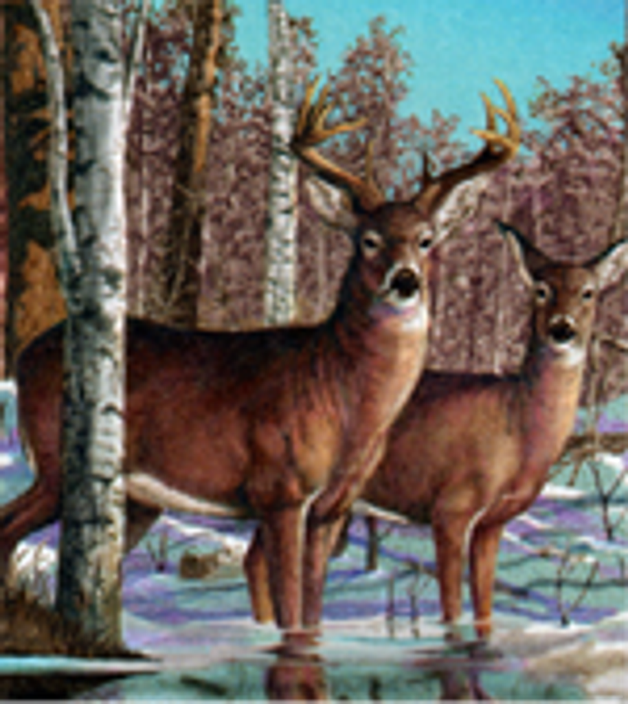 William George Montgomery Sr Profile Photo