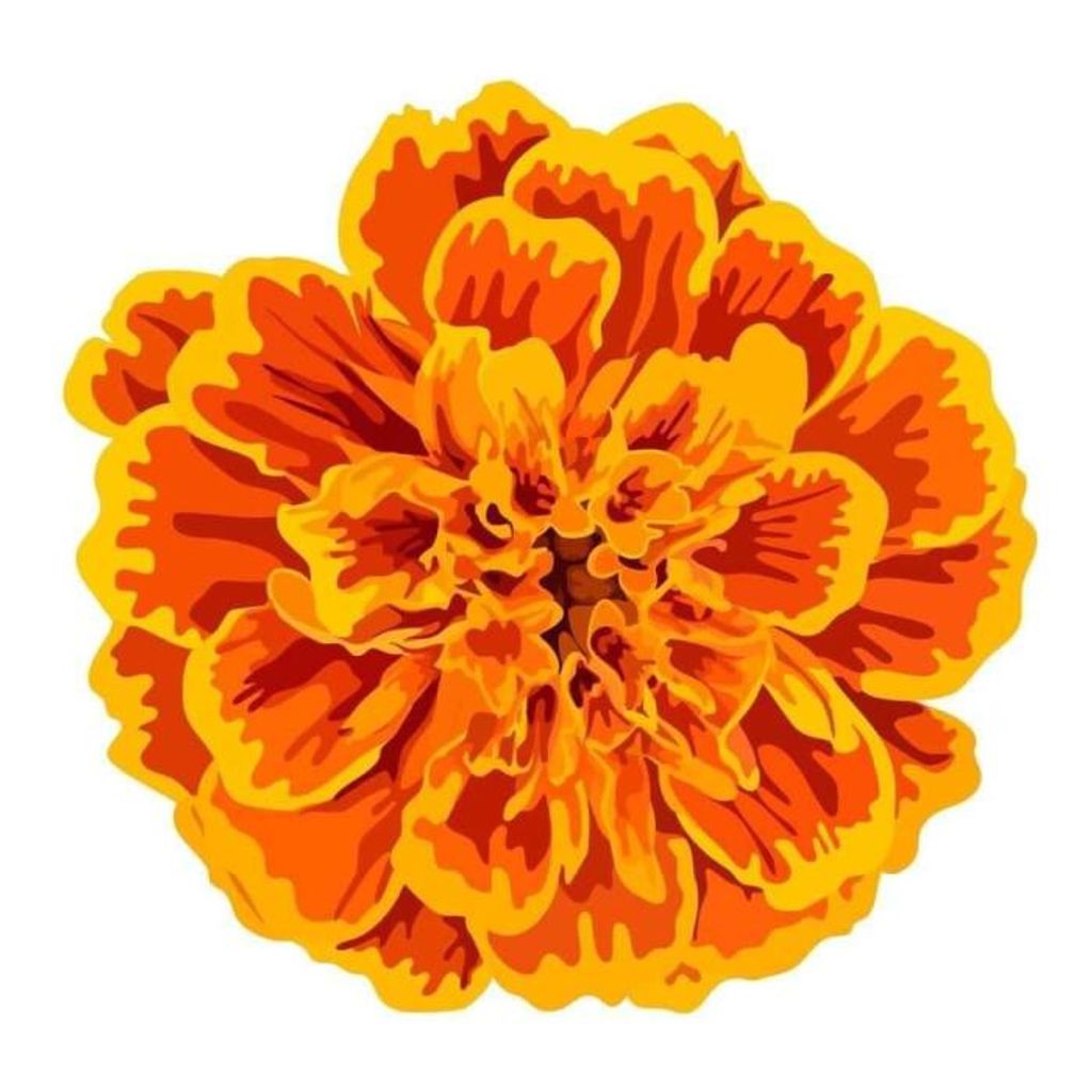 Marigold Eleanor Neely