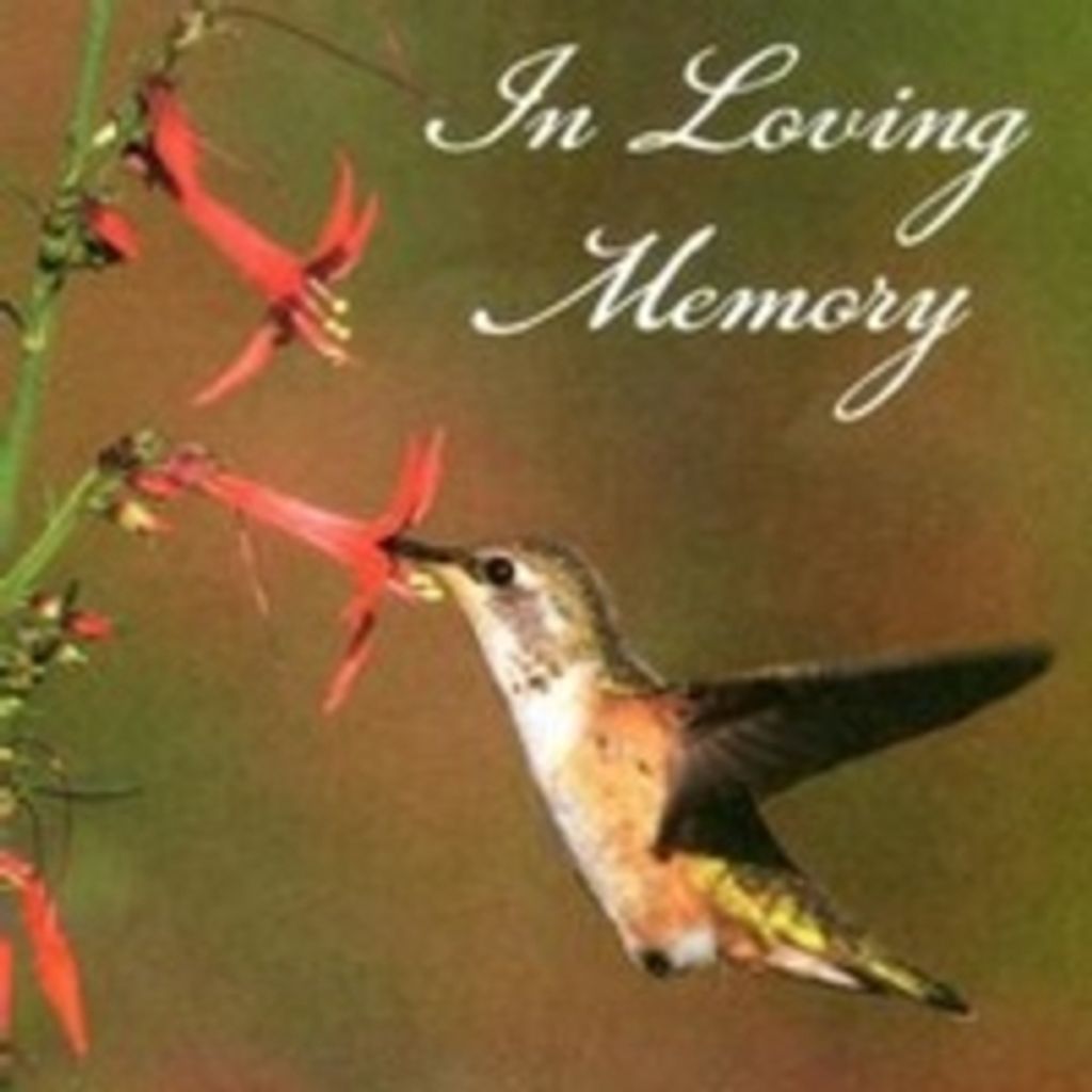 Connie Elaine Coblentz