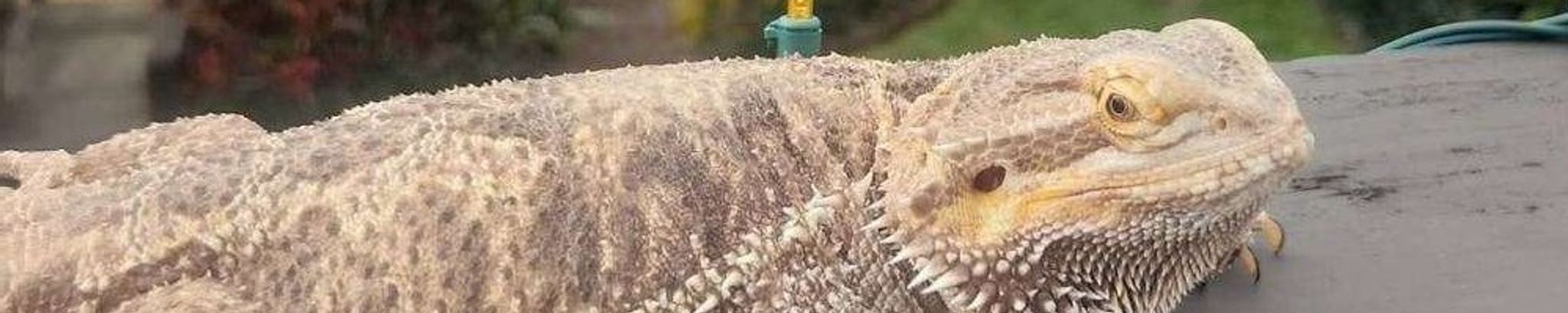 Cover for Kevin Dale Coatney's Obituary