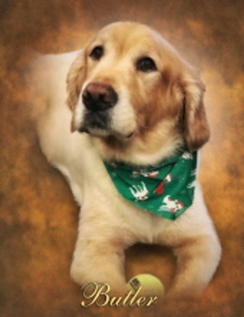 Butler Stillinger Profile Photo