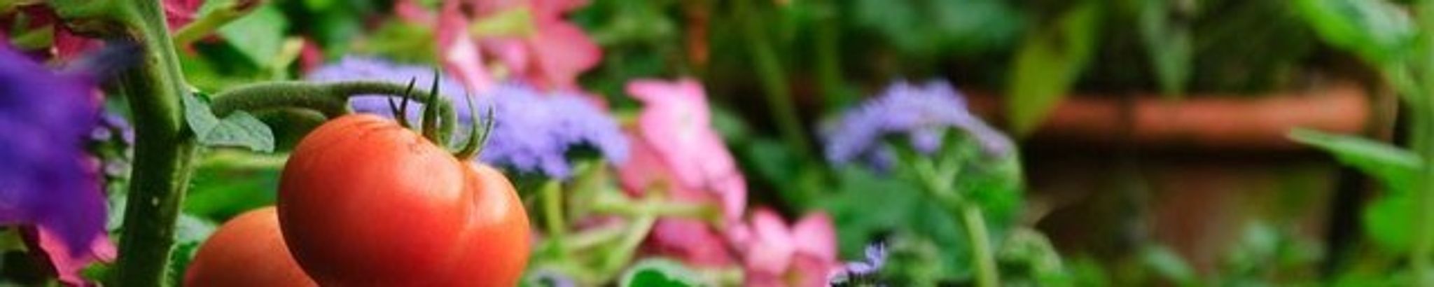 Cover photo for Andrew P. Bettick's Obituary