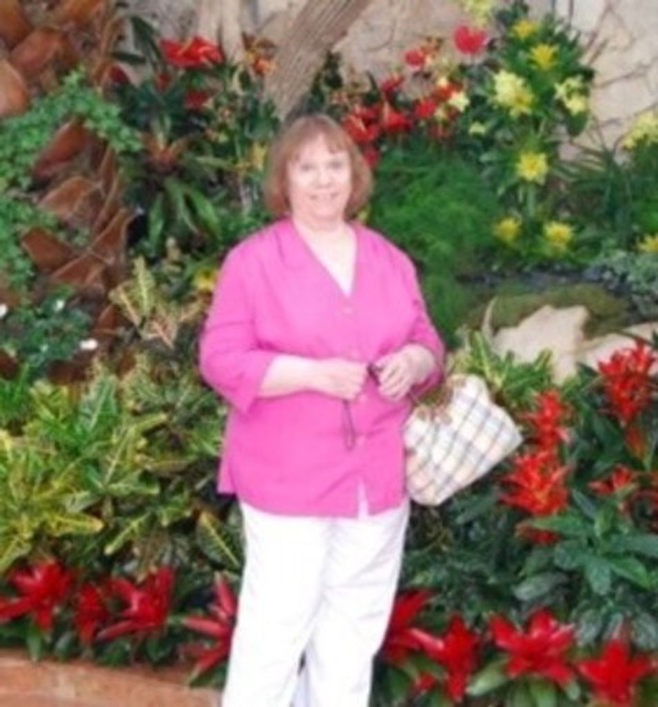 Colleen Nellie (Weld) Doyon Profile Photo