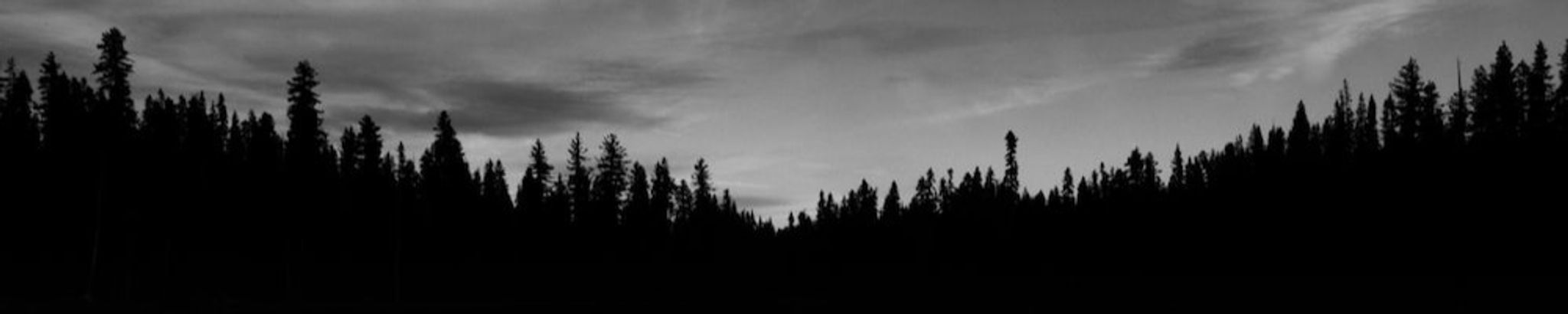 Cover photo for David Chase Grauberger's Obituary