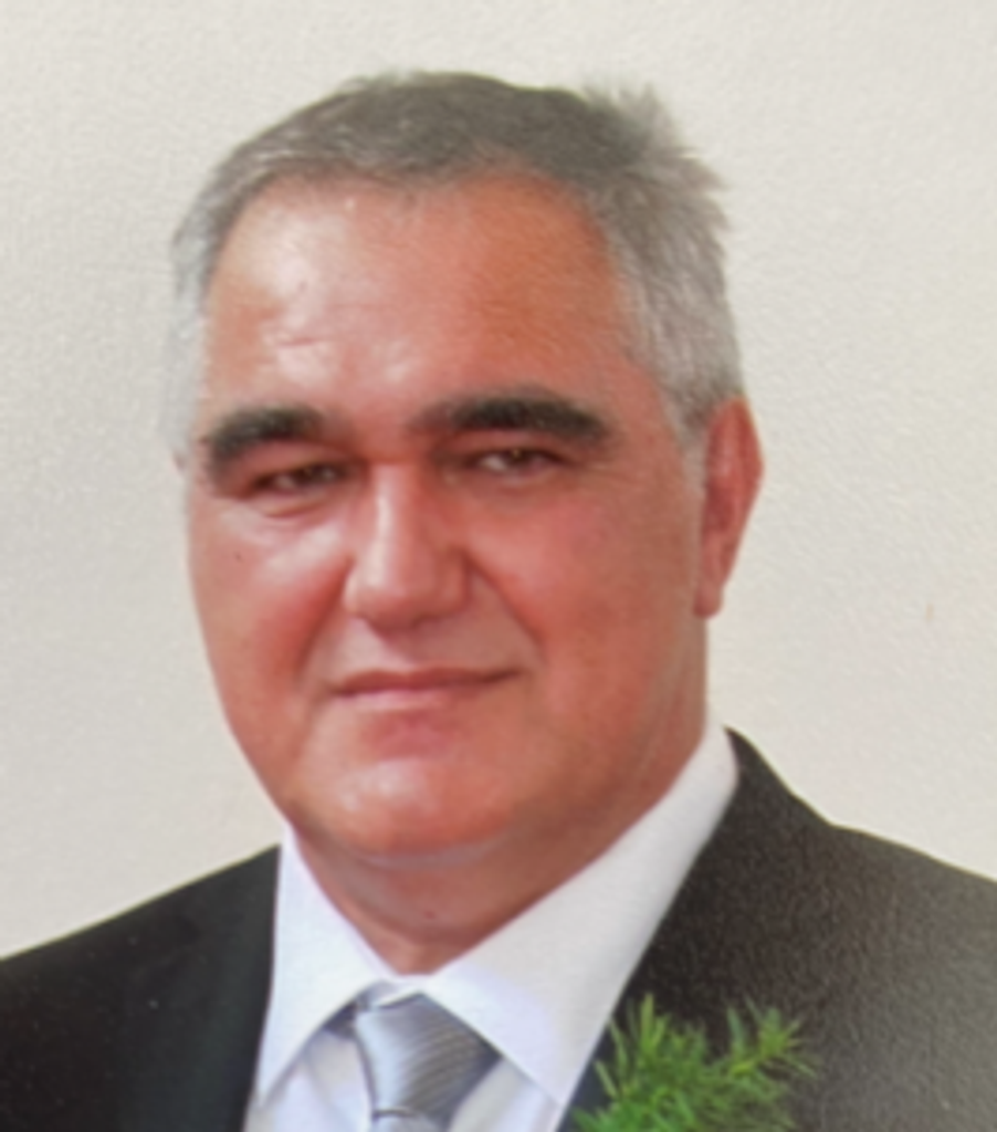 Luka Mitrovic