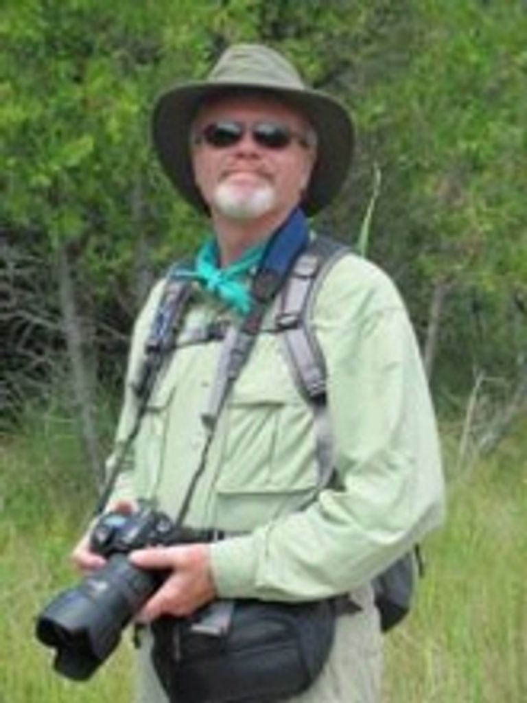 Michael David Auer