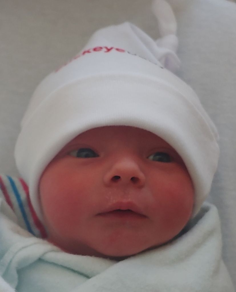 Lincoln Harold Roebke