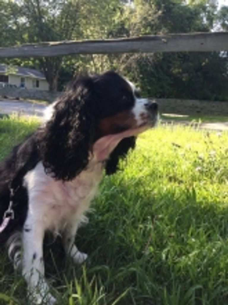 Chloe Demoss Profile Photo