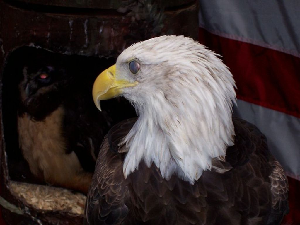 Larry Montgomery Profile Photo