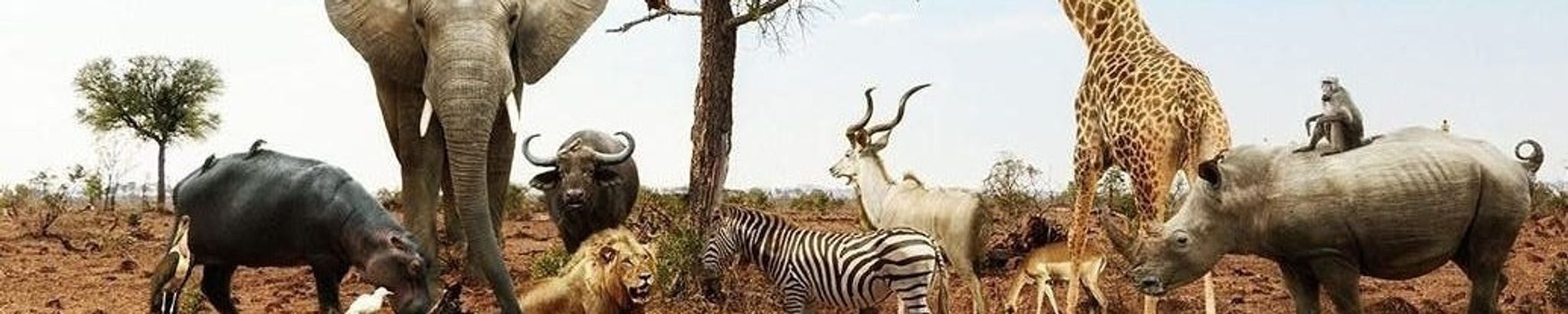 Cover for Marjorie Kathleen "Kay" Hamilton (née Adams)'s Obituary