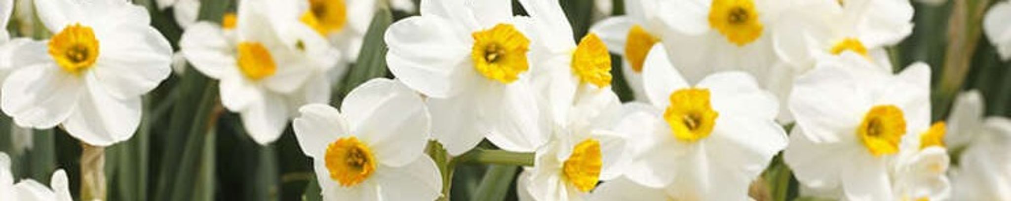 Cover photo for Lynn Bilbee Leith's Obituary