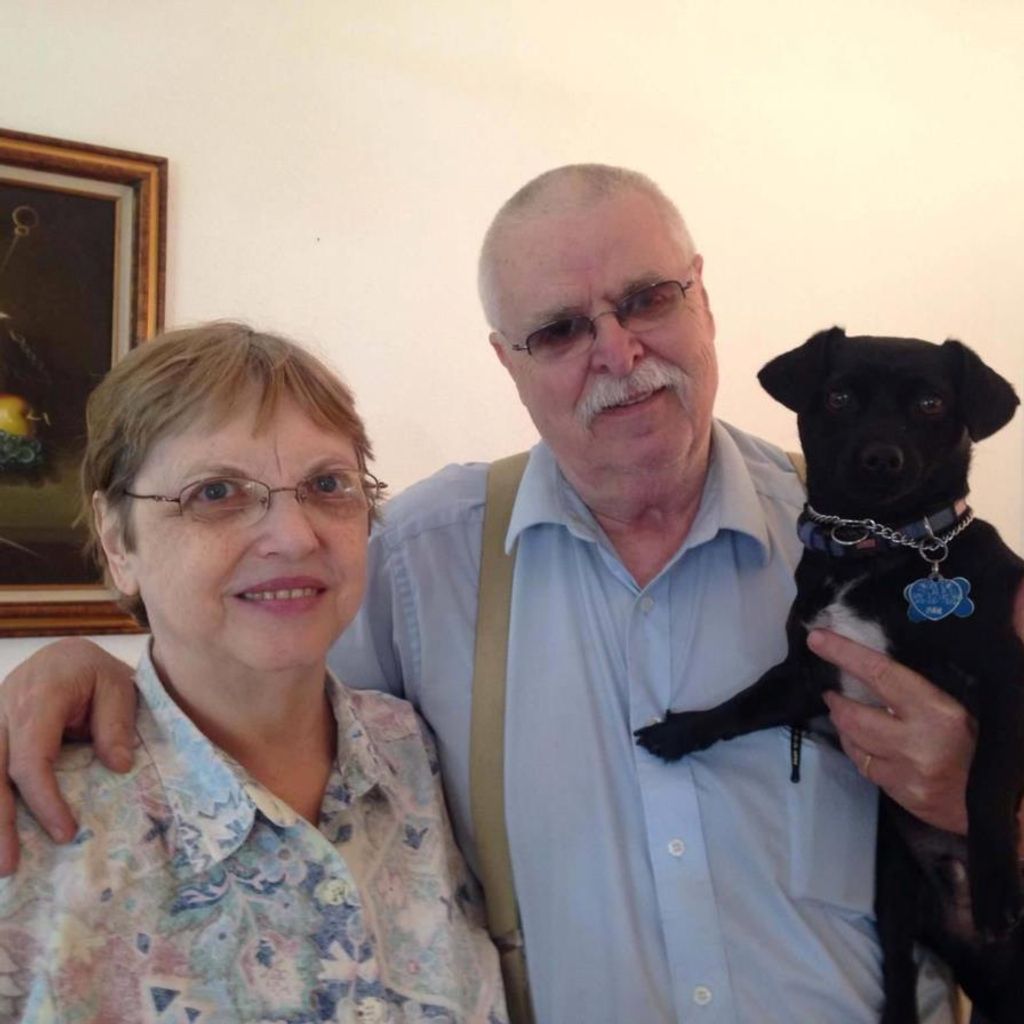 Carol Westerfield Profile Photo