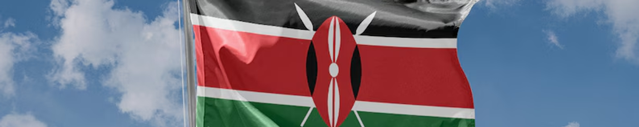Cover for Sarah Wanjiru Karanja's Obituary