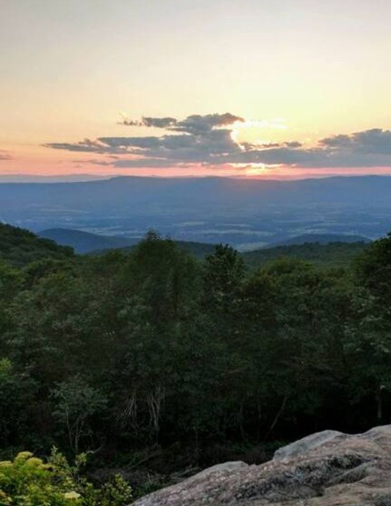 William Eure Profile Photo