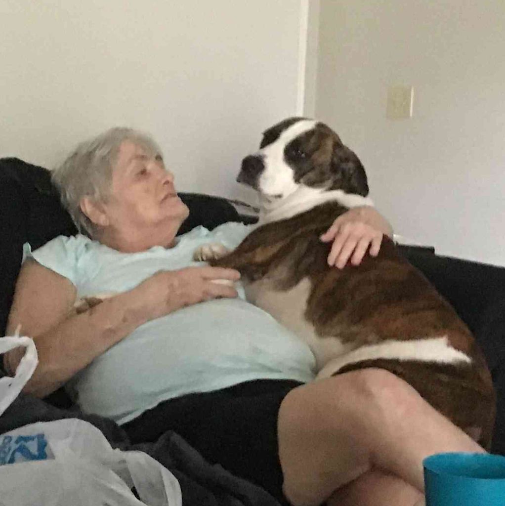 Sharon Jordan Profile Photo