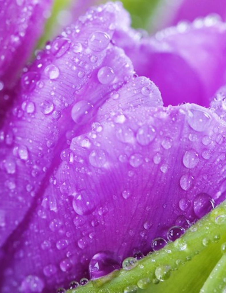 Patsy Ruth (Robinson) Woodford