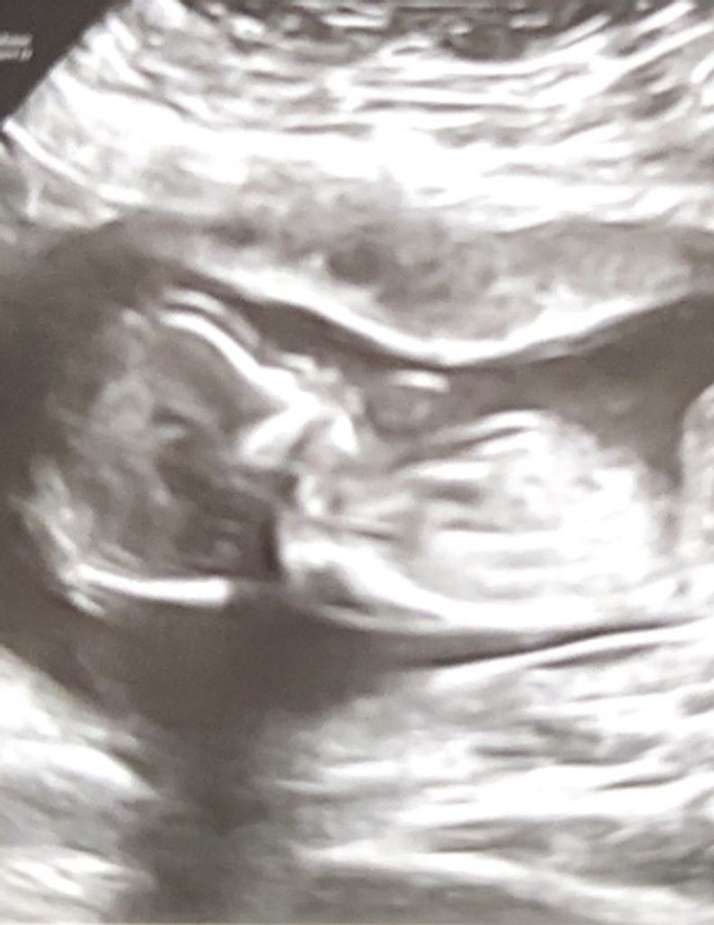 Faith C. Hayes Profile Photo