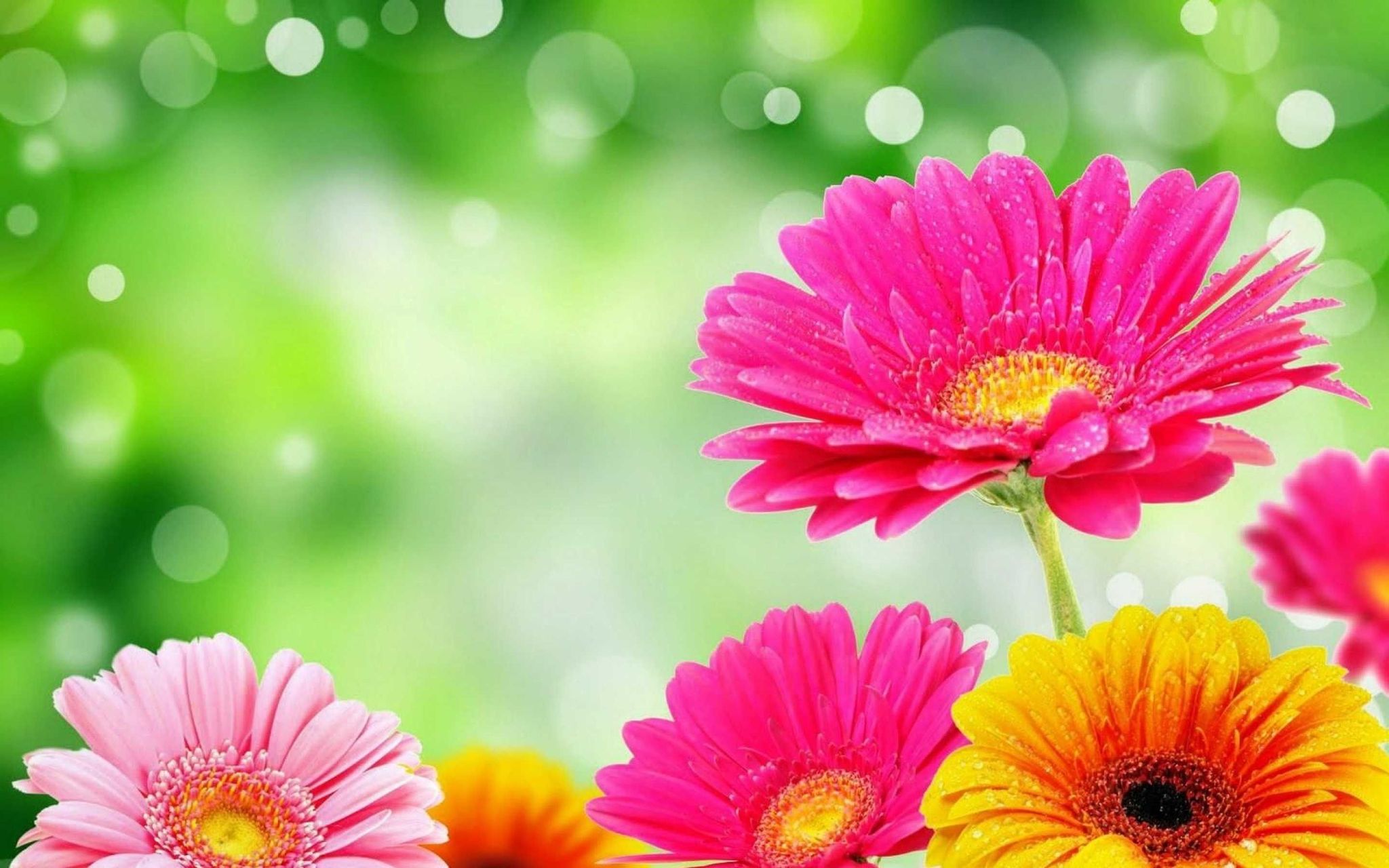 Cover photo for Rita J. Goyen's Obituary