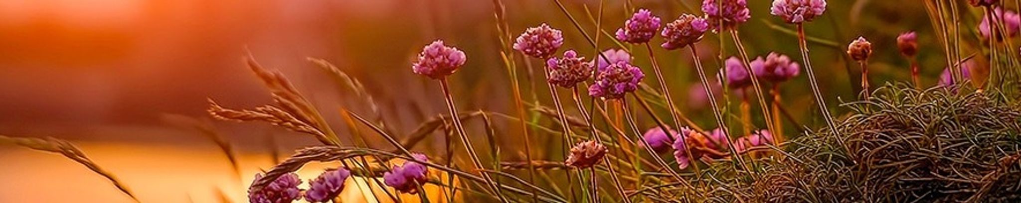 Cover photo for Vivian  B. Streichert's Obituary