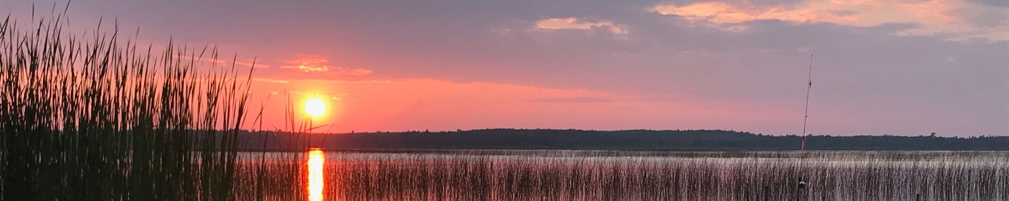 Cover for E. LaVonne "Vonnie" Olsen's Obituary