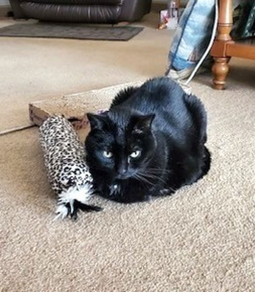 Onney Hester Profile Photo