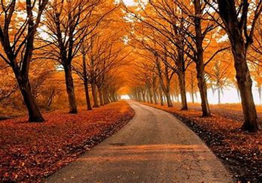 Roy Albert Oliver Jr Profile Photo