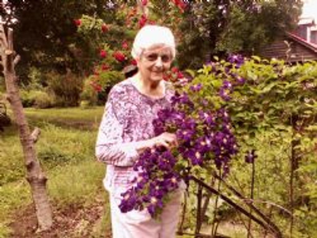 Wanda Collins