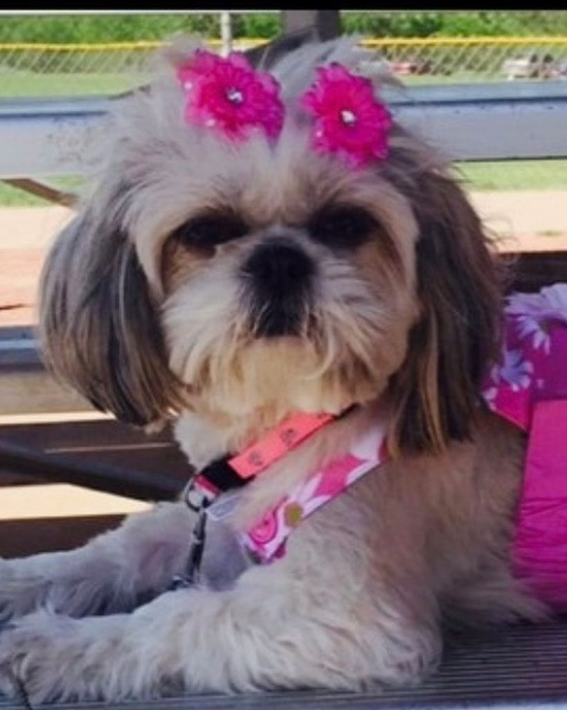 Bella 🖤 Profile Photo