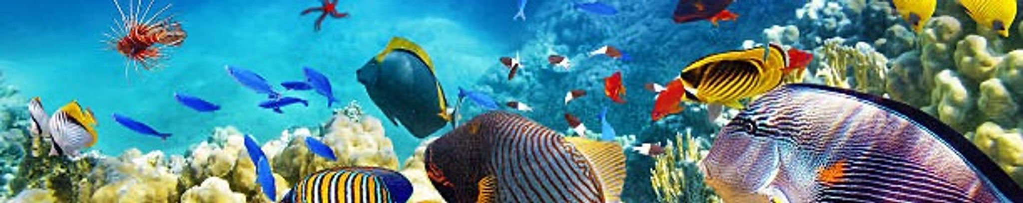 Cover for Danny M. Bennett's Obituary