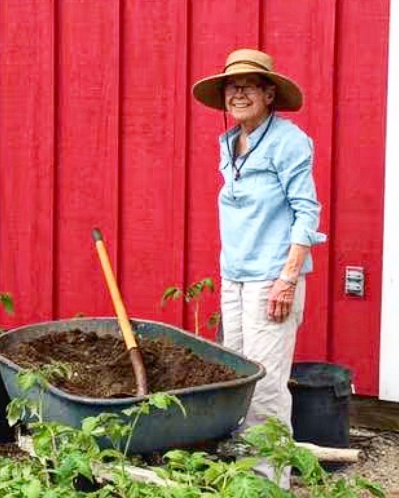 Mary Ellen Pernichele Profile Photo