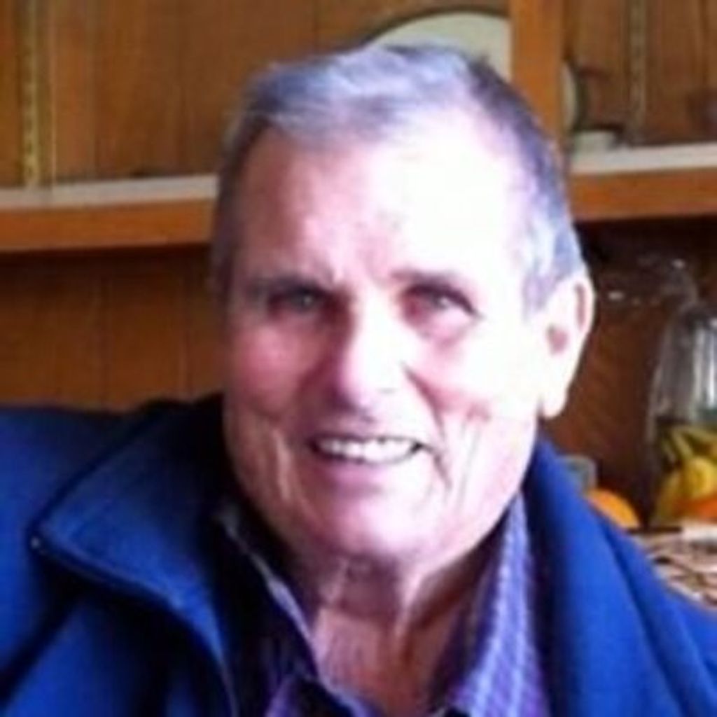 Louie A. Pellegrini Profile Photo