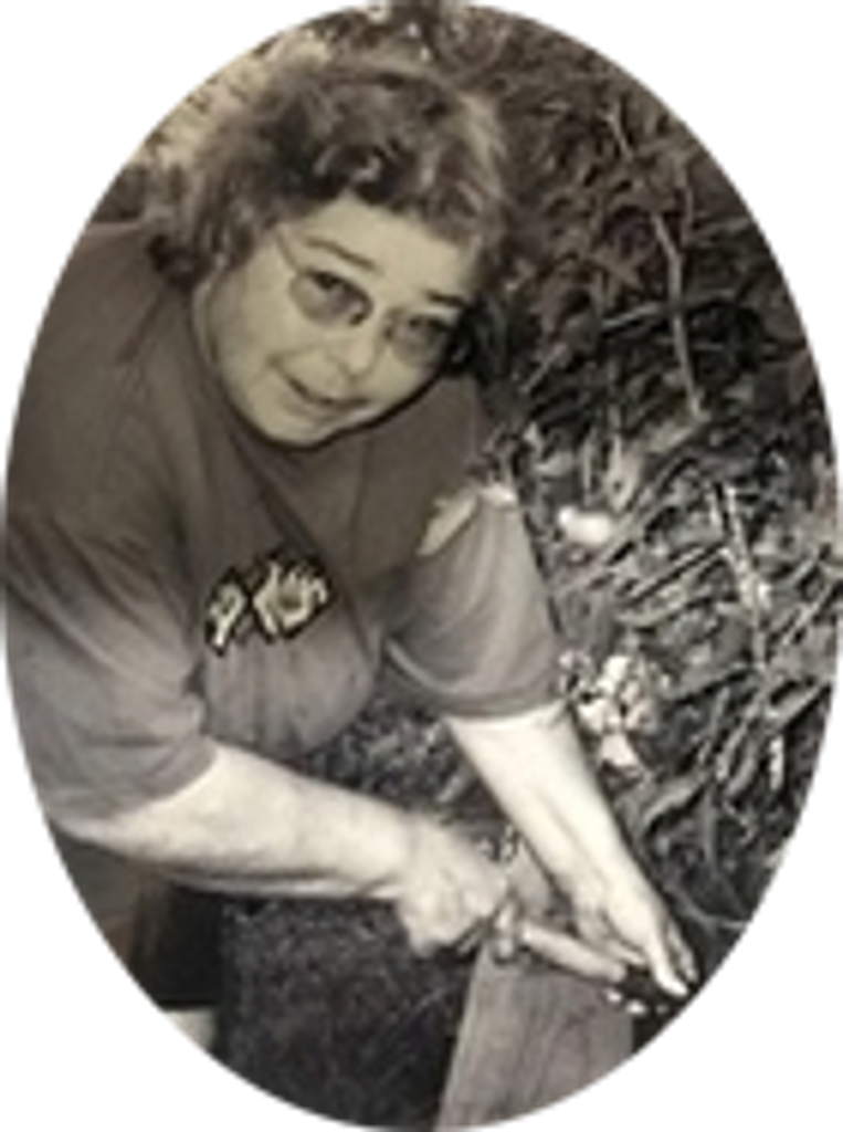 Virginia Chute