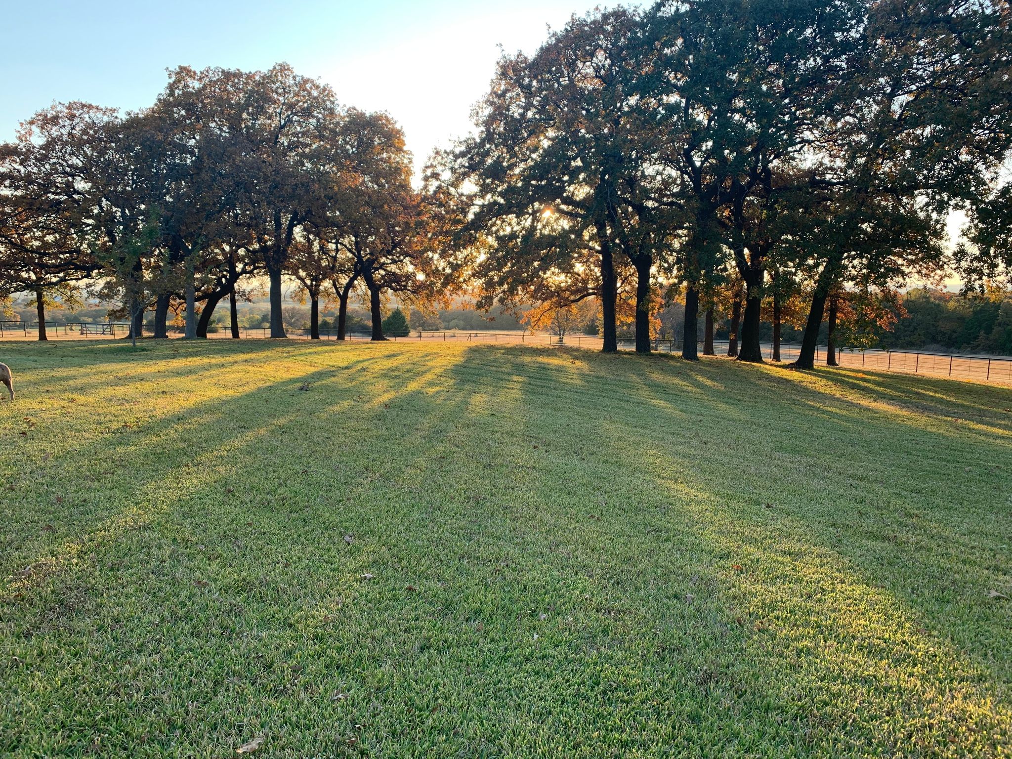 Franklin Dawson Meador photo gallery image 2 of 288
